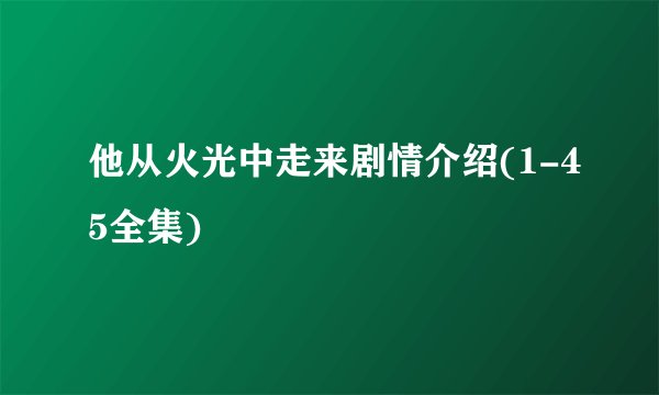 他从火光中走来剧情介绍(1-45全集)