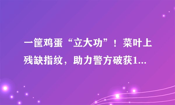 一筐鸡蛋“立大功”！菜叶上残缺指纹，助力警方破获19年前命案