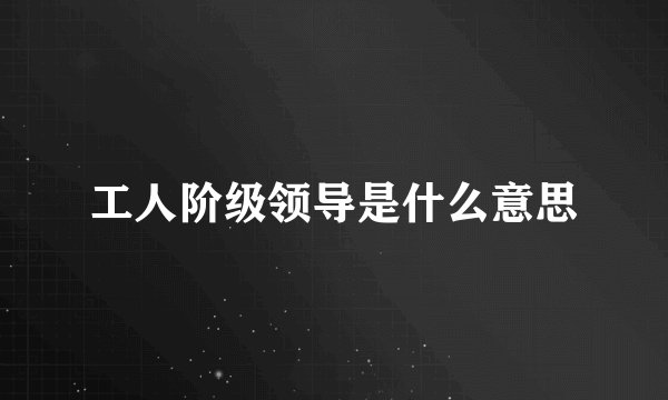工人阶级领导是什么意思