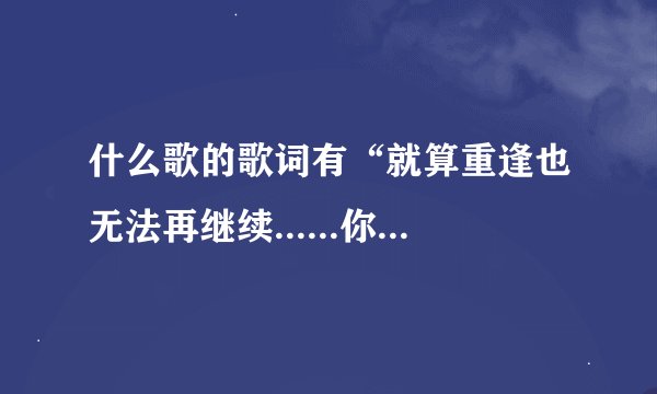 什么歌的歌词有“就算重逢也无法再继续......你永远不会知道我的感受”