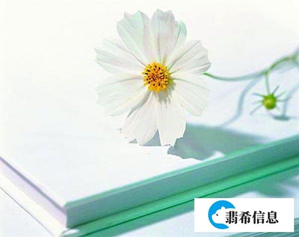 畅销书作家版税收入几千万，是指小说的实际收入？版税这么算