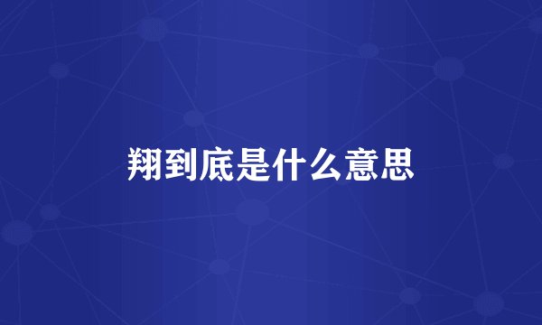 翔到底是什么意思