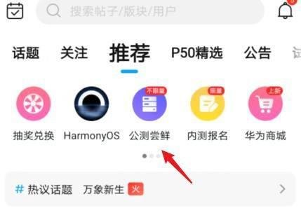 荣耀30pro怎么才能升级鸿蒙