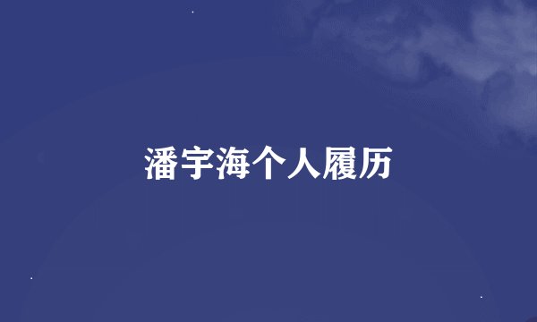 潘宇海个人履历