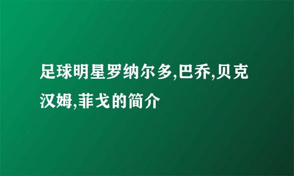 足球明星罗纳尔多,巴乔,贝克汉姆,菲戈的简介