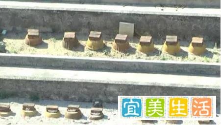 想卖房子想疯了？宝能竟然做了个假地铁站牌……