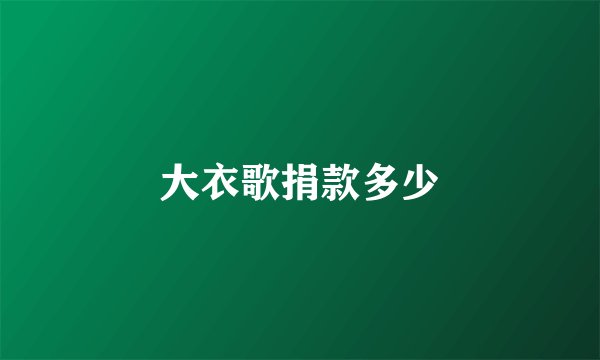 大衣歌捐款多少