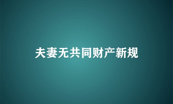夫妻无共同财产新规