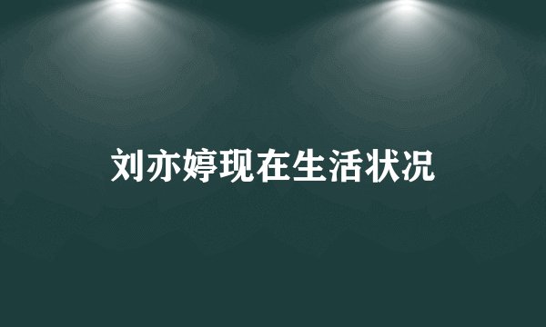 刘亦婷现在生活状况