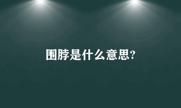 围脖是什么意思?