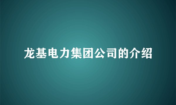 龙基电力集团公司的介绍