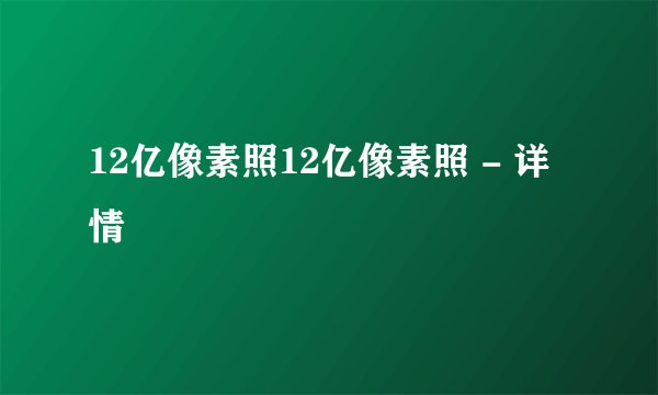 12亿像素照12亿像素照 - 详情