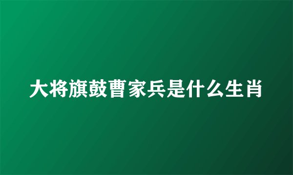 大将旗鼓曹家兵是什么生肖