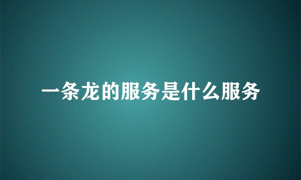 一条龙的服务是什么服务