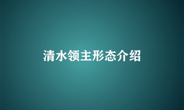 清水领主形态介绍
