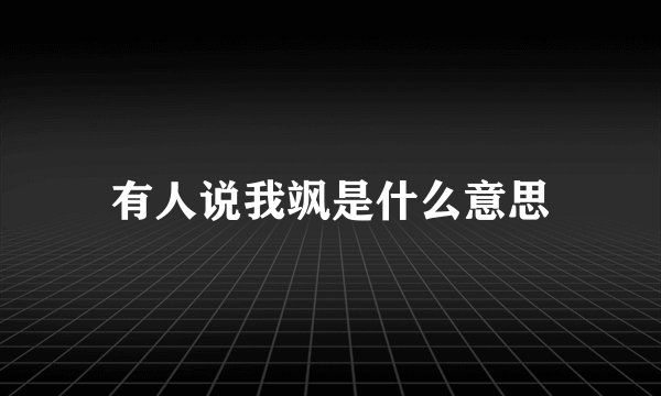 有人说我飒是什么意思