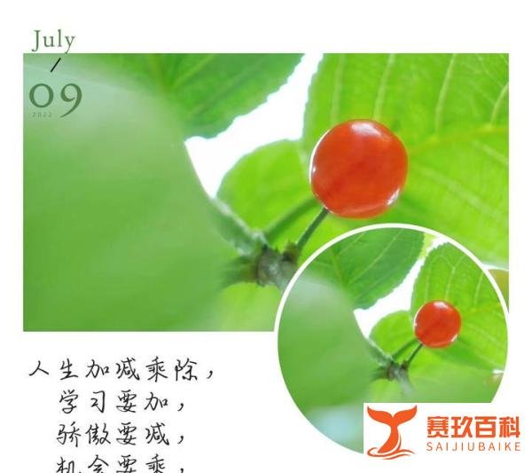 【乌军，从亚速钢铁厂，撤离】