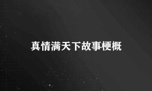真情满天下故事梗概