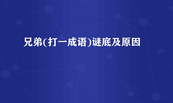 兄弟(打一成语)谜底及原因