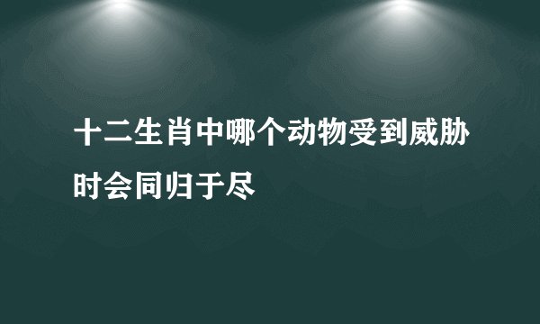 十二生肖中哪个动物受到威胁时会同归于尽