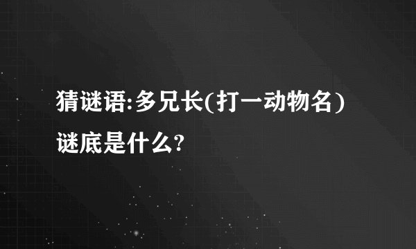 猜谜语:多兄长(打一动物名)谜底是什么?
