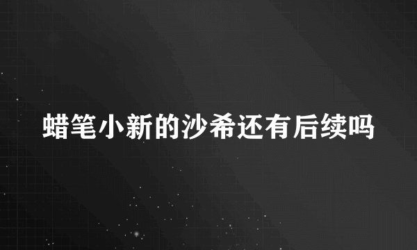 蜡笔小新的沙希还有后续吗