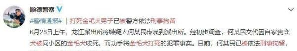 打死金毛犬男子被刑事拘留