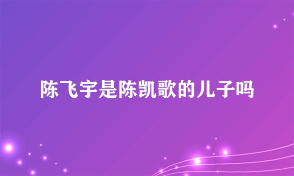 陈飞宇是陈凯歌的儿子吗