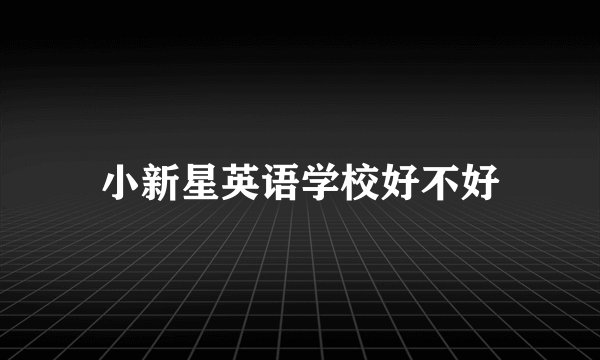小新星英语学校好不好