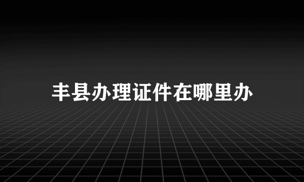 丰县办理证件在哪里办