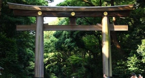 「日本小常识」神社、大社、神宫、宫,你知道怎么分吗?
