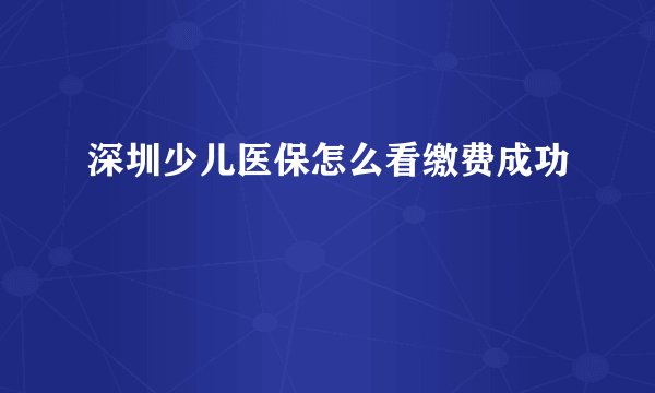 深圳少儿医保怎么看缴费成功