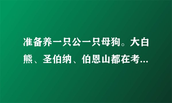 准备养一只公一只母狗。大白熊、圣伯纳、伯恩山都在考虑，有院子。优缺点说一下！