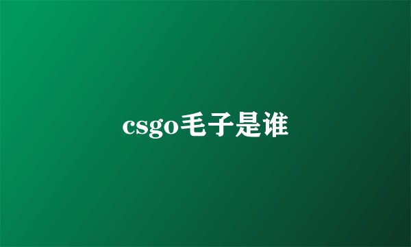 csgo毛子是谁