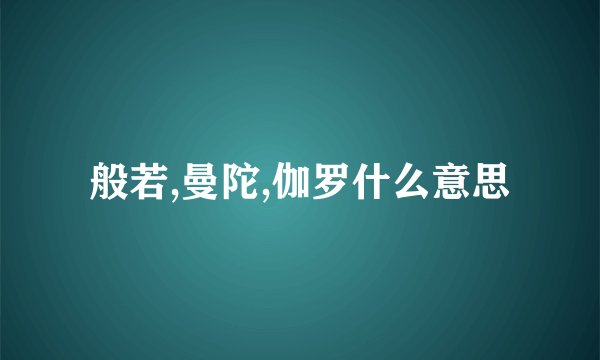般若,曼陀,伽罗什么意思