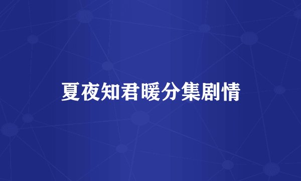 夏夜知君暖分集剧情