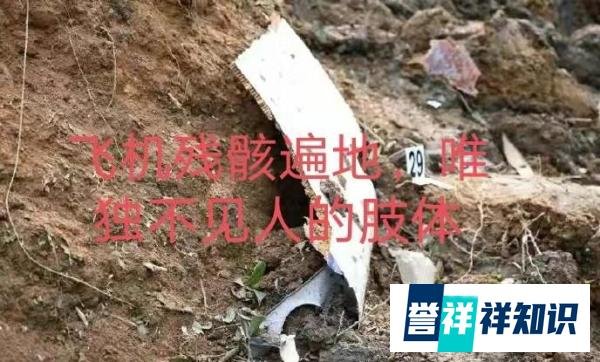 东航MU5735航班坠毁，竟然没有发现客机内所有的人员，哪怕是……