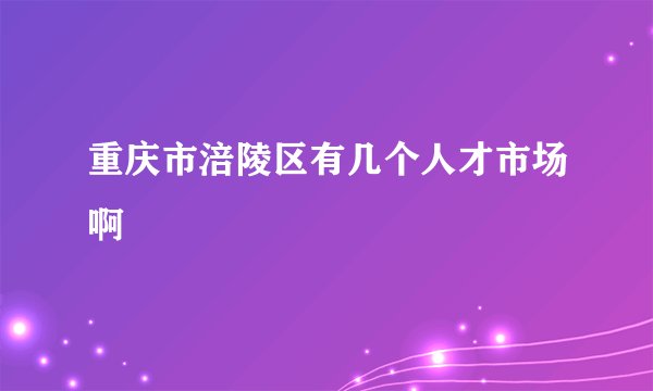 重庆市涪陵区有几个人才市场啊
