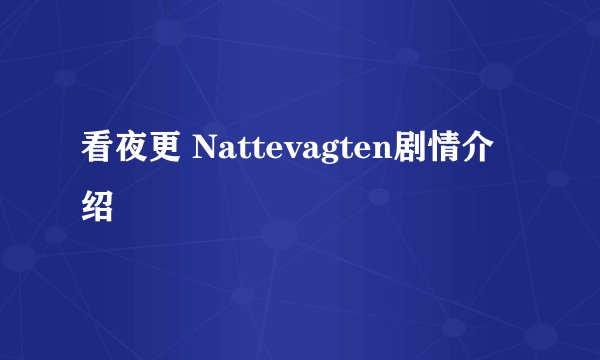 看夜更 Nattevagten剧情介绍