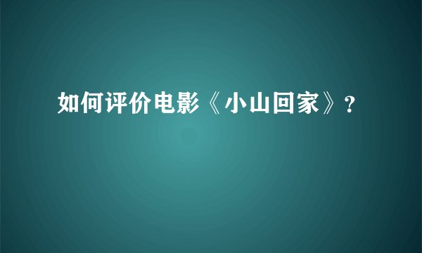 如何评价电影《小山回家》？