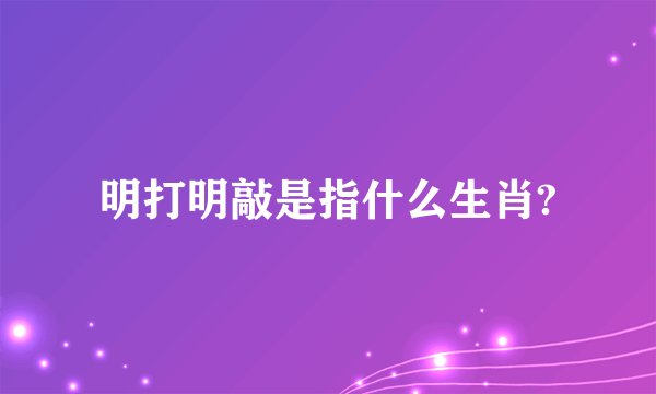 明打明敲是指什么生肖?