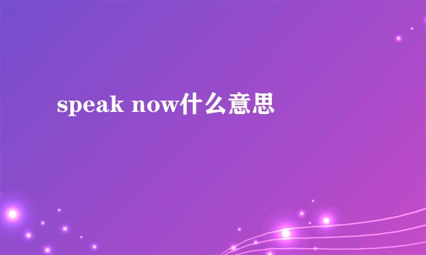 speak now什么意思