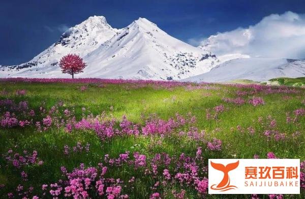 2023最好的生活状态：欲望低配，能力标配，精神高配