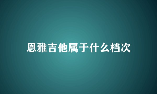 恩雅吉他属于什么档次