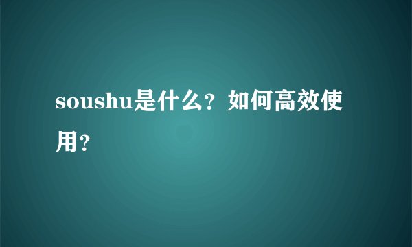 soushu是什么？如何高效使用？