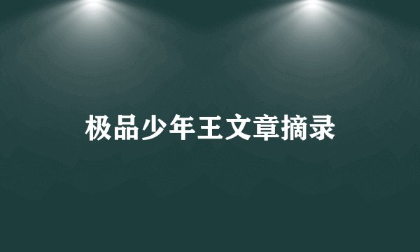 极品少年王文章摘录