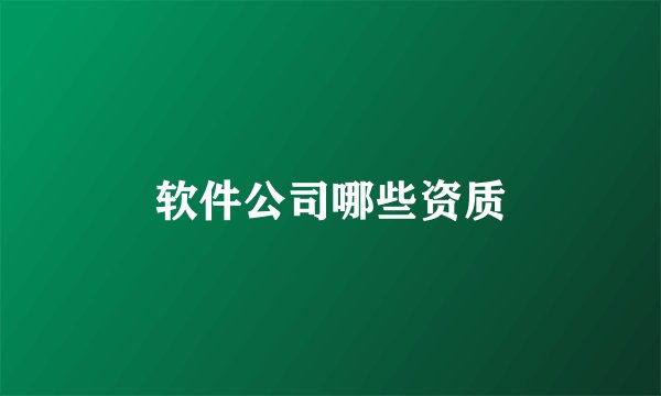软件公司哪些资质