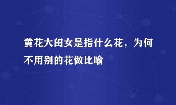 黄花大闺女是指什么花，为何不用别的花做比喻