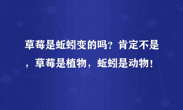草莓是蚯蚓变的吗？肯定不是，草莓是植物，蚯蚓是动物！
