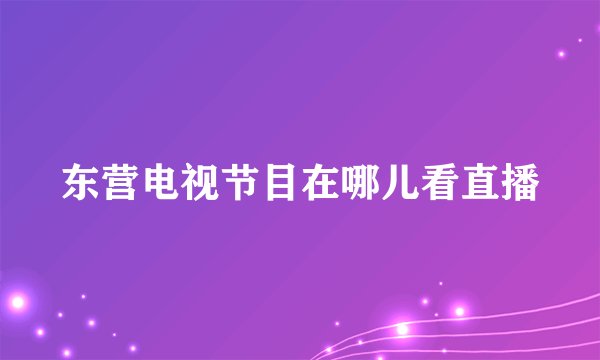 东营电视节目在哪儿看直播